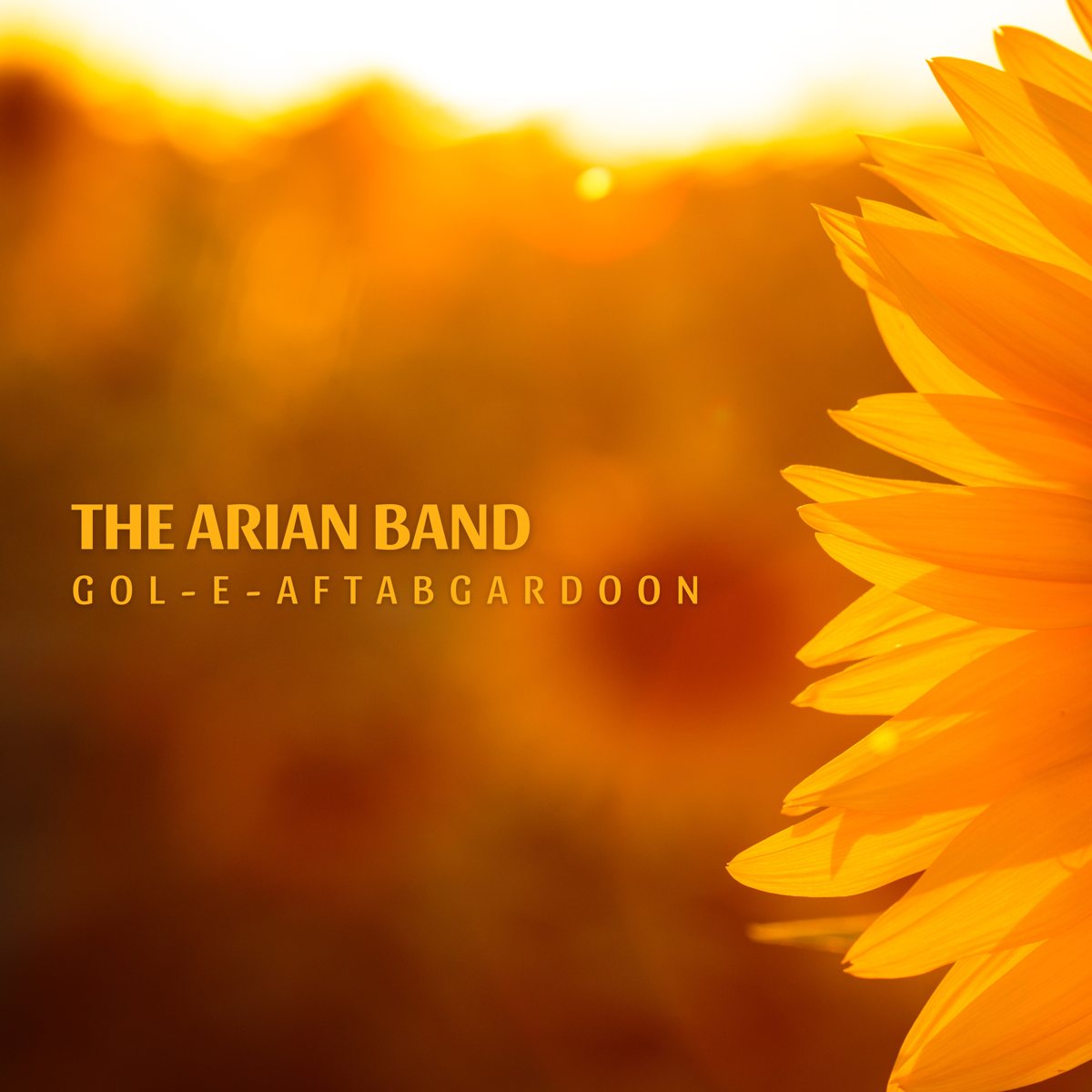 Gol-E-Aftabgardoon cover art